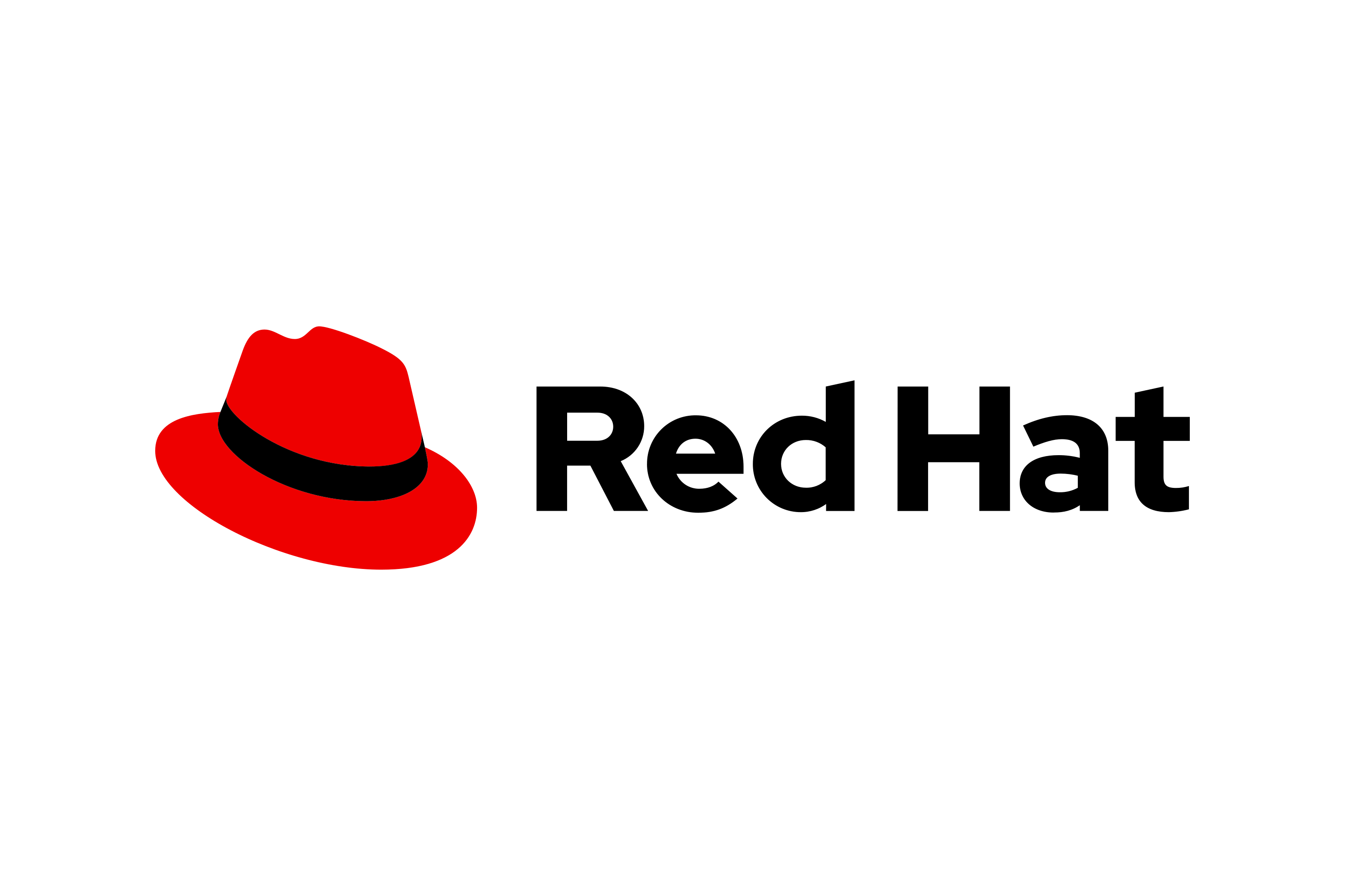 Red_Hat-Logo.wine (1)